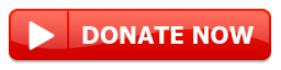Donate to Stormfront!